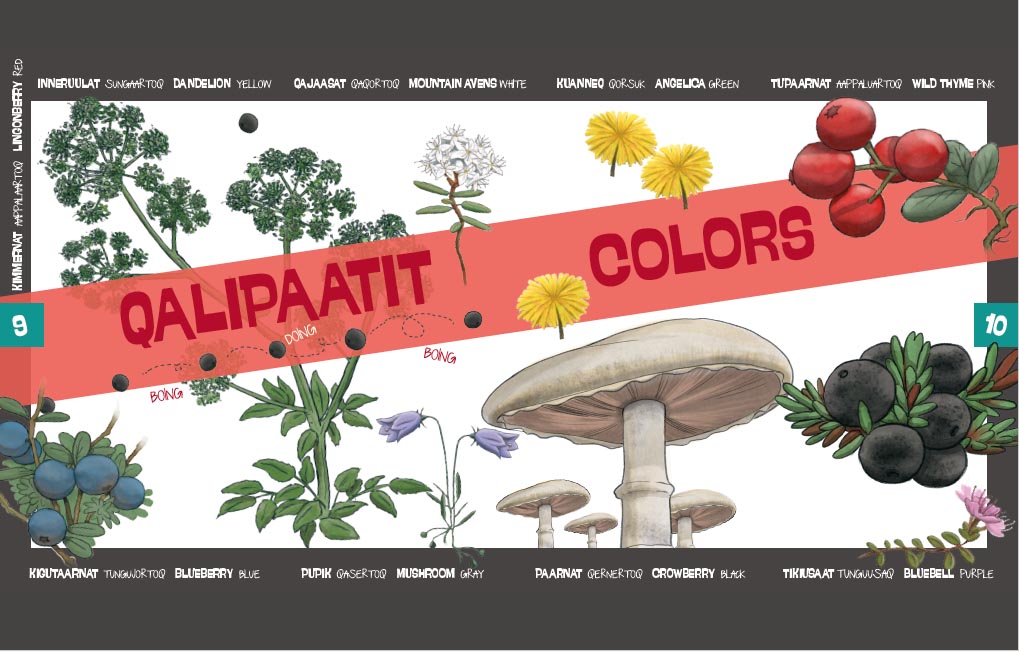 Color swatch book with illustrations of plants, fungi and berries.