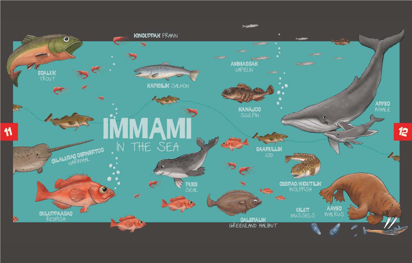 Illustration of various sea animals with labels on.