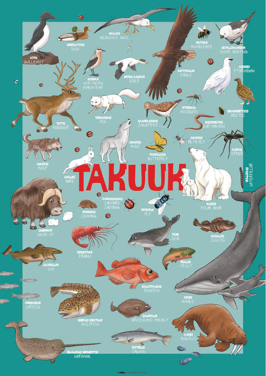 Takuuk - Look poster. Greenlandic - English language. Instant PDF & JPEG download.
